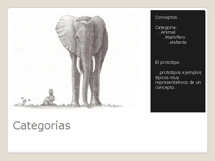 Conceptos Categoría: . Animal. Mamífero. elefante El prototipos ejemplos típicos muy representativos de un