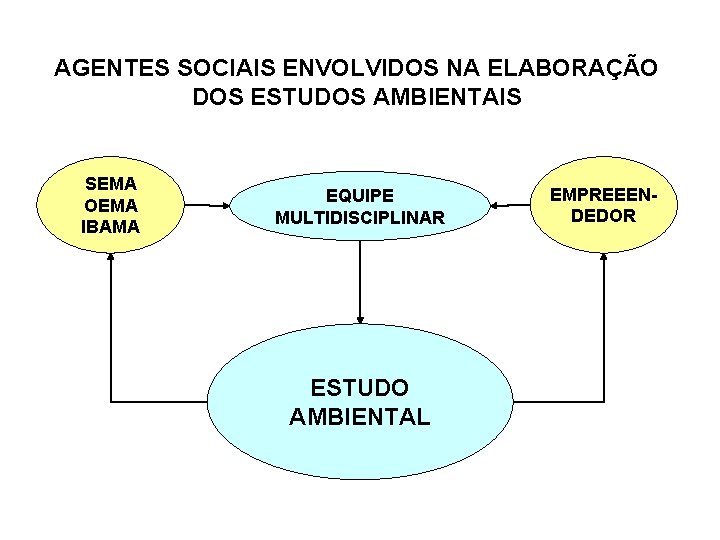 AGENTES SOCIAIS ENVOLVIDOS NA ELABORAÇÃO DOS ESTUDOS AMBIENTAIS SEMA OEMA IBAMA EQUIPE MULTIDISCIPLINAR ESTUDO