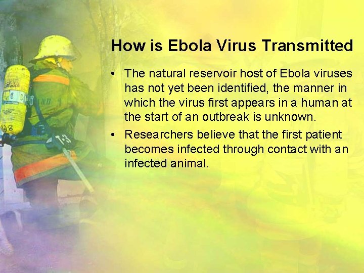 How is Ebola Virus Transmitted • The natural reservoir host of Ebola viruses has