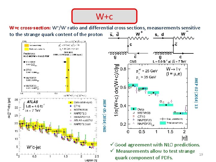 W+c cross-section: W+/W- ratio and differential cross sections, measurements sensitive to the strange quark