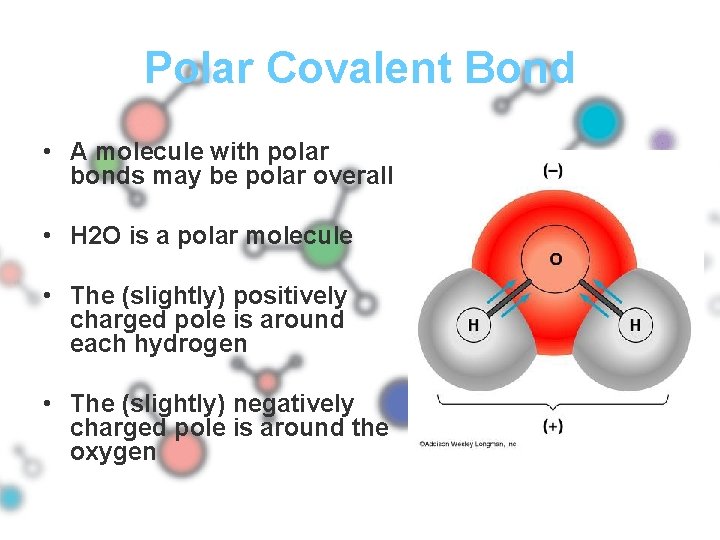Polar Covalent Bond • A molecule with polar bonds may be polar overall •