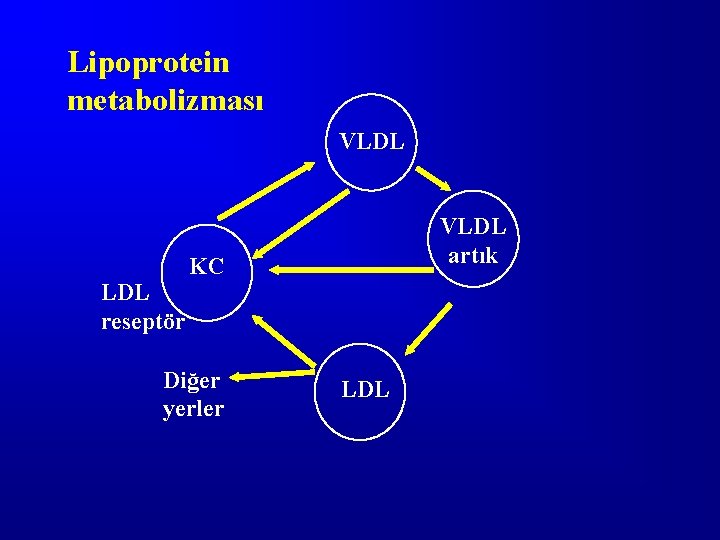 Lipoprotein metabolizması VLDL reseptör VLDL artık KC Diğer yerler LDL 