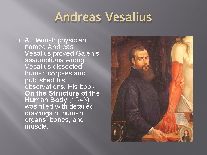 Andreas Vesalius � A Flemish physician named Andreas Vesalius proved Galen’s assumptions wrong. Vesalius