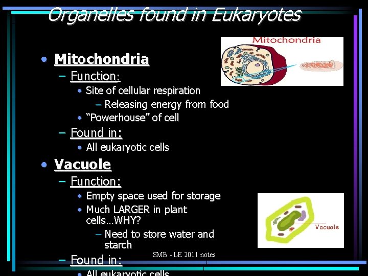 Organelles found in Eukaryotes • Mitochondria – Function: • Site of cellular respiration –