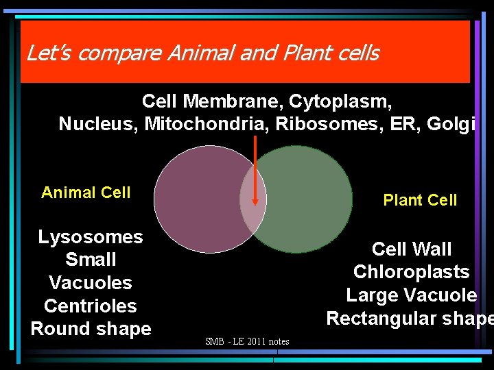 Let’s compare Animal and Plant cells Cell Membrane, Cytoplasm, Nucleus, Mitochondria, Ribosomes, ER, Golgi