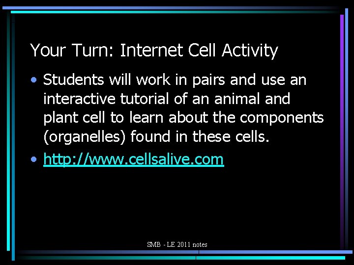 Your Turn: Internet Cell Activity • Students will work in pairs and use an