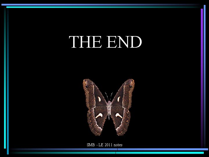 THE END SMB - LE 2011 notes 