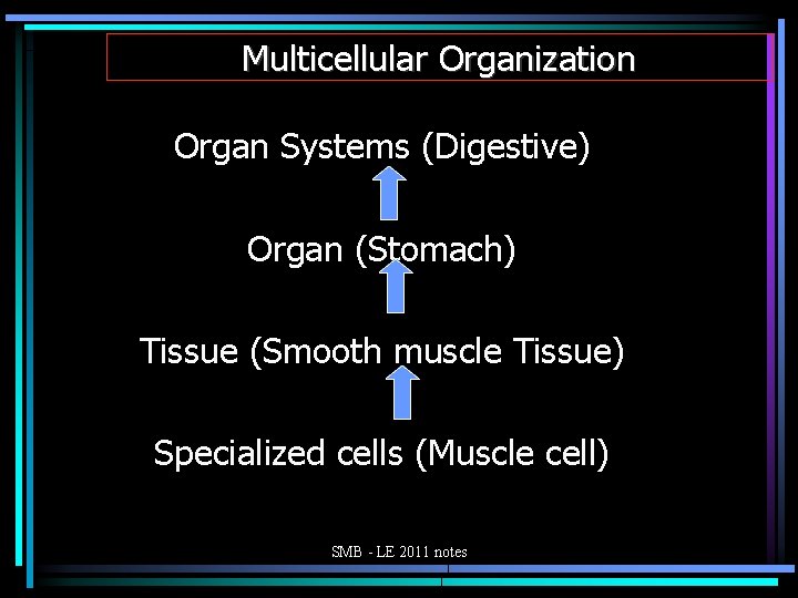 Multicellular Organization Organ Systems (Digestive) Organ (Stomach) Tissue (Smooth muscle Tissue) Specialized cells (Muscle