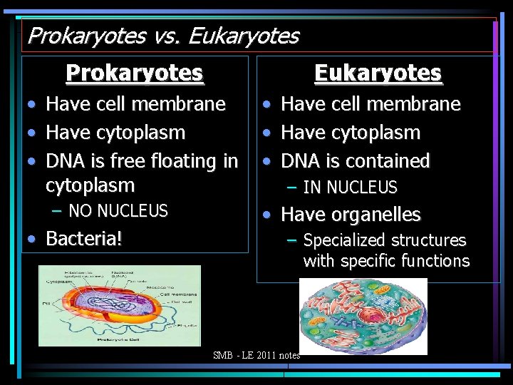 Prokaryotes vs. Eukaryotes Prokaryotes • • • Eukaryotes Have cell membrane Have cytoplasm DNA