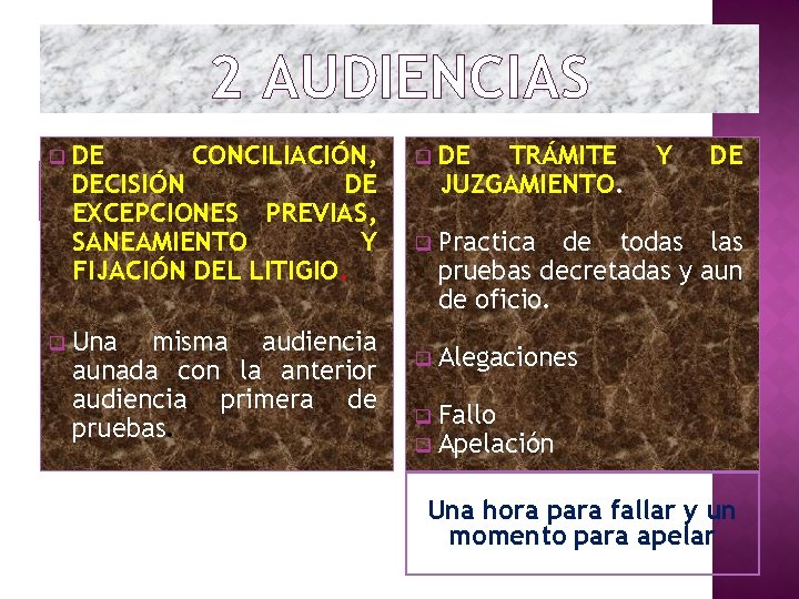 2 AUDIENCIAS q DE CONCILIACIÓN, El. DECISIÓN Juez debe dialogar y proponer DE formulas