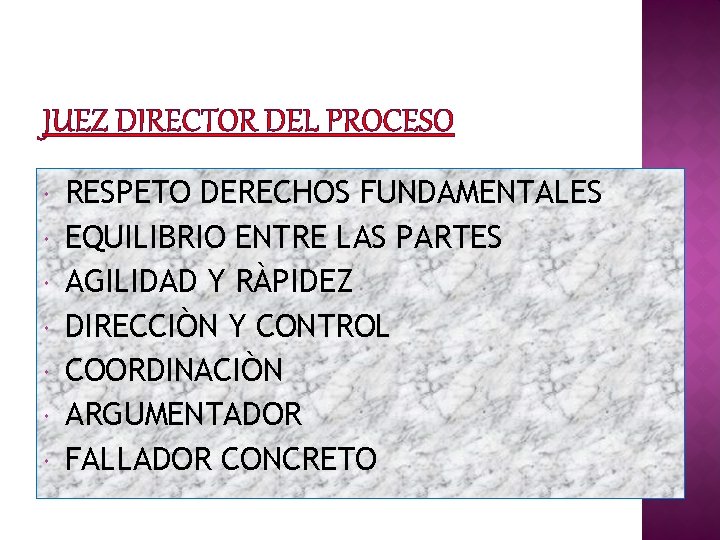 JUEZ DIRECTOR DEL PROCESO RESPETO DERECHOS FUNDAMENTALES EQUILIBRIO ENTRE LAS PARTES AGILIDAD Y RÀPIDEZ