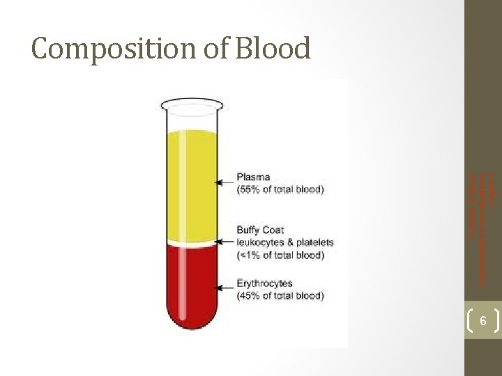 Forensic Science: Fundamentals & Investigations, Chapter 8 Composition of Blood 6 