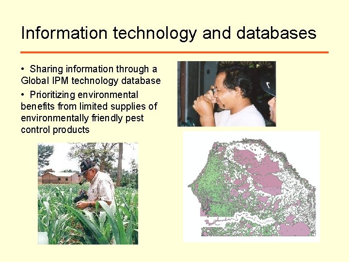 Information technology and databases • Sharing information through a Global IPM technology database •