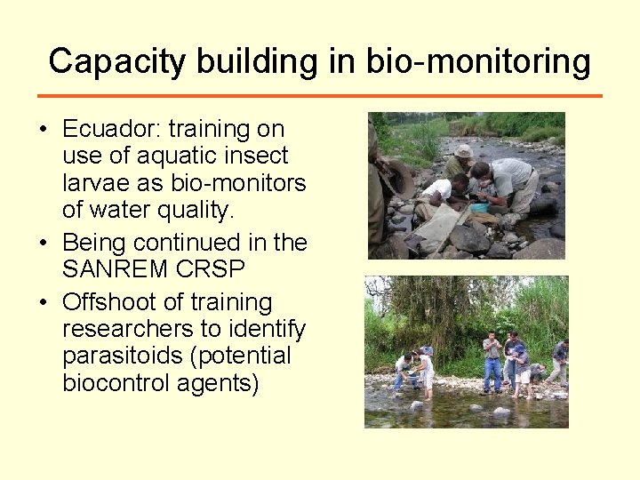 Capacity building in bio-monitoring • Ecuador: training on use of aquatic insect larvae as