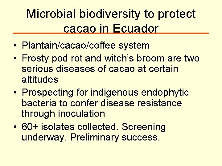 Microbial biodiversity to protect cacao in Ecuador • Plantain/cacao/coffee system • Frosty pod rot