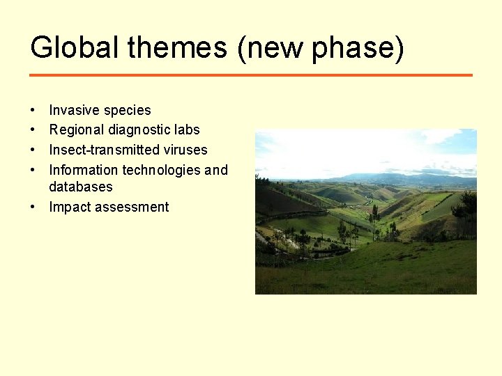 Global themes (new phase) • • Invasive species Regional diagnostic labs Insect-transmitted viruses Information