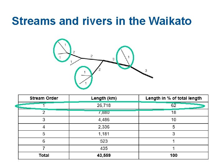 Streams and rivers in the Waikato 