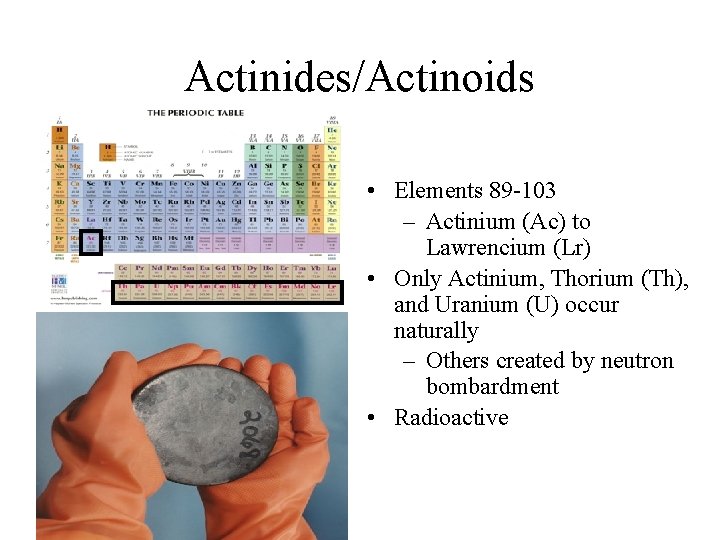 Actinides/Actinoids • Elements 89 -103 – Actinium (Ac) to Lawrencium (Lr) • Only Actinium,