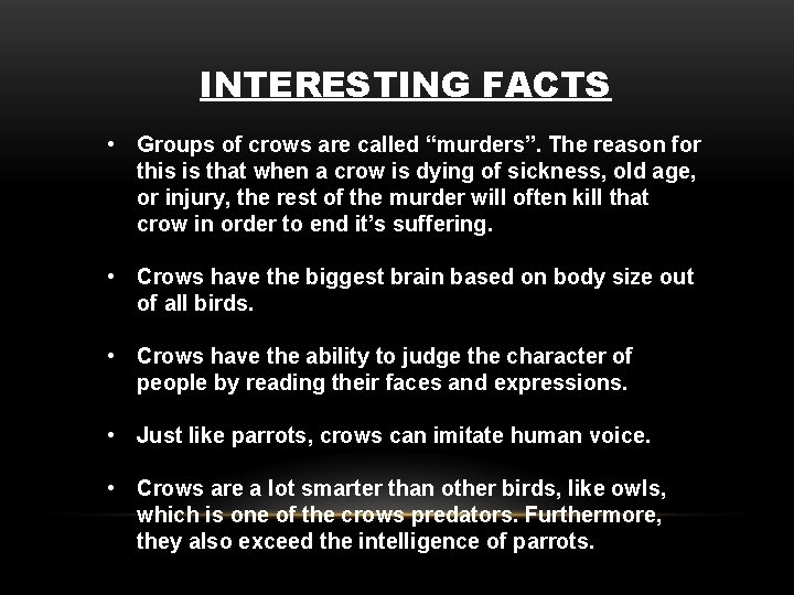 INTERESTING FACTS • Groups of crows are called “murders”. The reason for this is