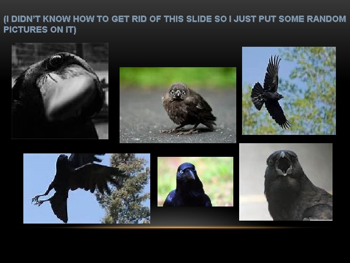 (I DIDN’T KNOW HOW TO GET RID OF THIS SLIDE SO I JUST PUT