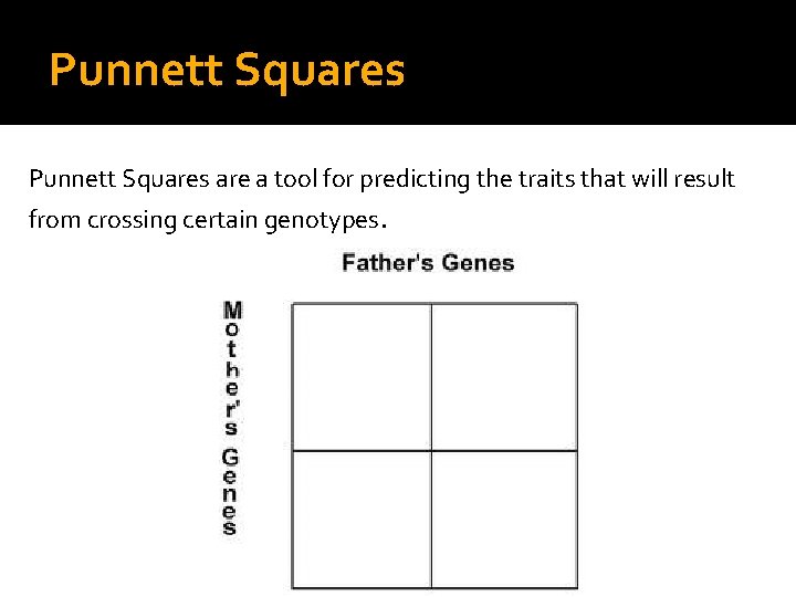Punnett Squares are a tool for predicting the traits that will result from crossing
