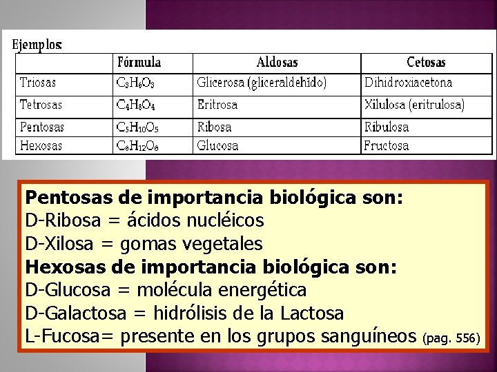 Pentosas de importancia biológica son: D-Ribosa = ácidos nucléicos D-Xilosa = gomas vegetales Hexosas