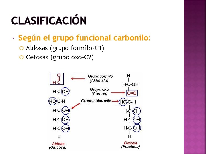 CLASIFICACIÓN Según el grupo funcional carbonilo: Aldosas (grupo formilo-C 1) Cetosas (grupo oxo-C 2)