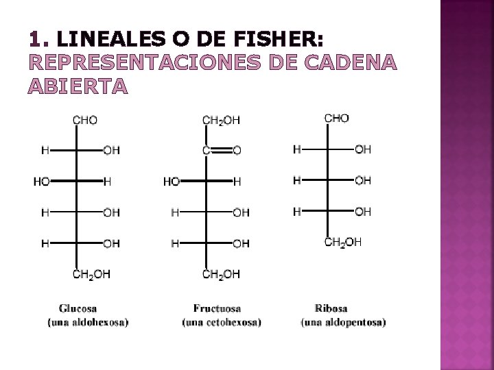 1. LINEALES O DE FISHER: REPRESENTACIONES DE CADENA ABIERTA 