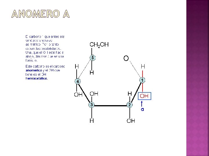 ANOMERO Α 