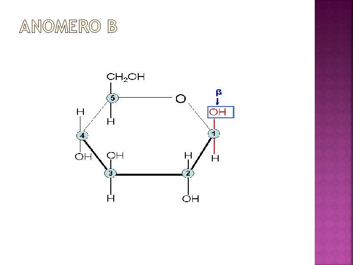 ANOMERO Β 