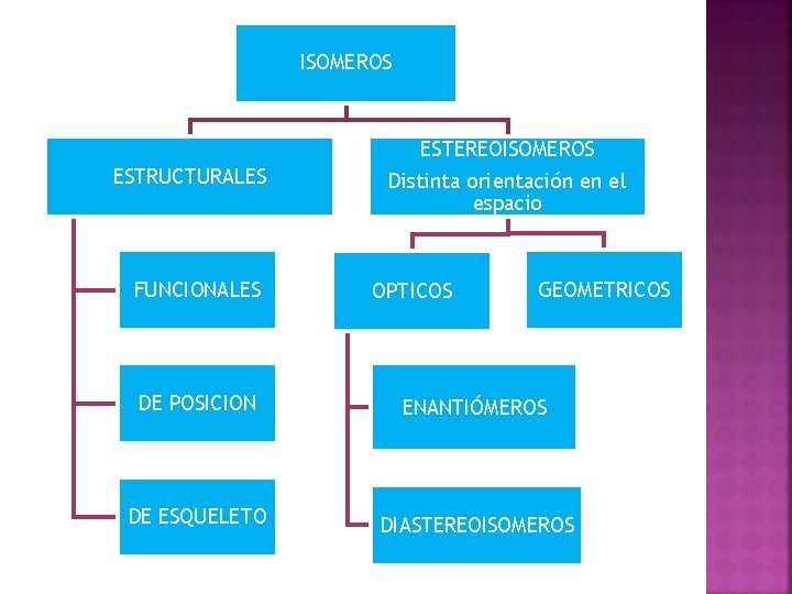 ISOMEROS ESTEREOISOMEROS ESTRUCTURALES FUNCIONALES Distinta orientación en el espacio OPTICOS GEOMETRICOS DE POSICION ENANTIÓMEROS