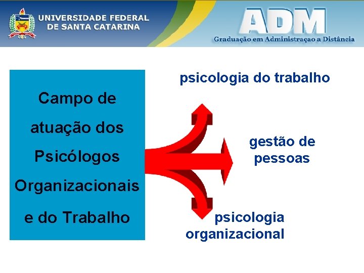 psicologia do trabalho Campo de atuação dos Psicólogos gestão de pessoas Organizacionais e do