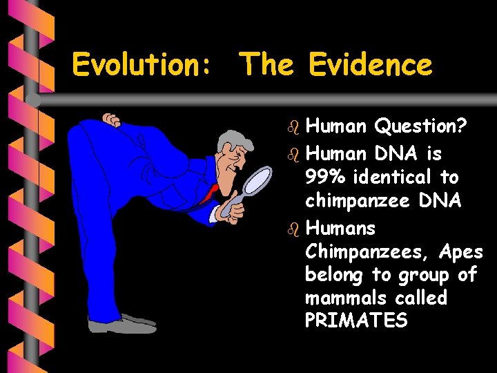Evolution: The Evidence b Human Question? b Human DNA is 99% identical to chimpanzee
