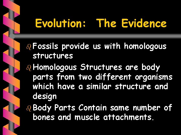 Evolution: The Evidence b Fossils provide us with homologous structures b Homologous Structures are