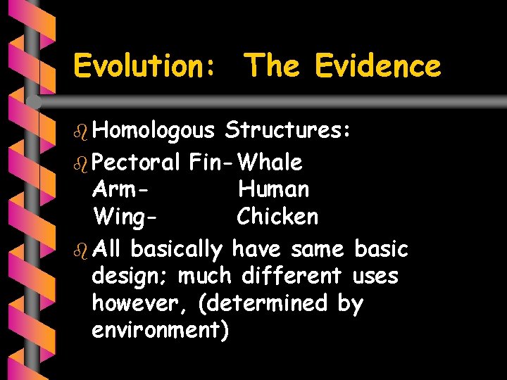 Evolution: The Evidence b Homologous Structures: b Pectoral Fin-Whale Arm. Human Wing. Chicken b