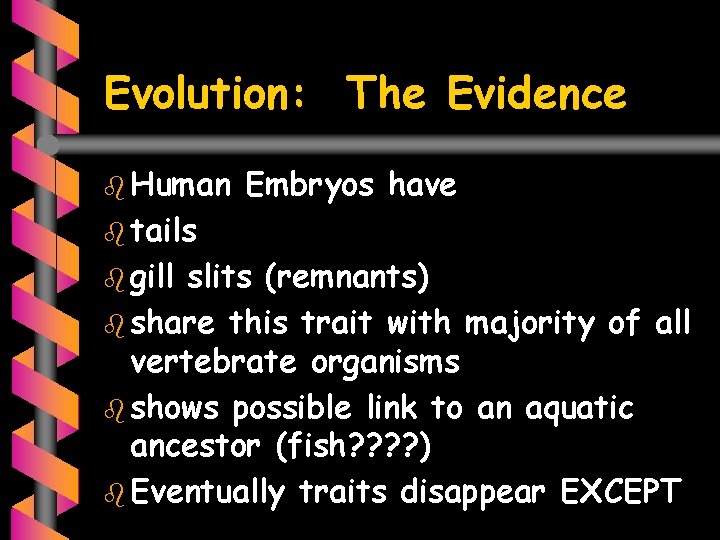Evolution: The Evidence b Human b tails b gill Embryos have slits (remnants) b