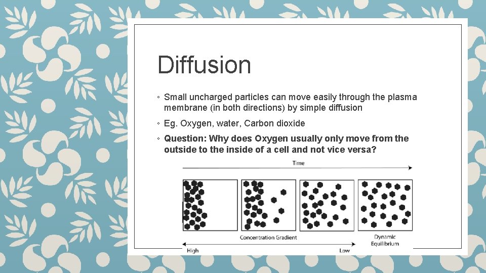 Diffusion ◦ Small uncharged particles can move easily through the plasma membrane (in both