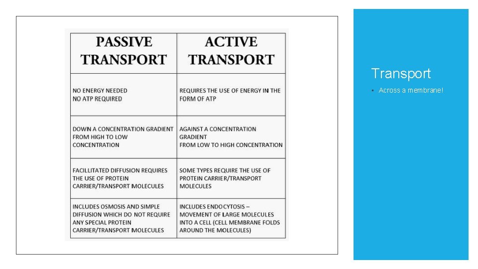 Transport ◦ Across a membrane! 