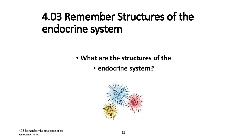 4. 03 Remember Structures of the endocrine system • What are the structures of