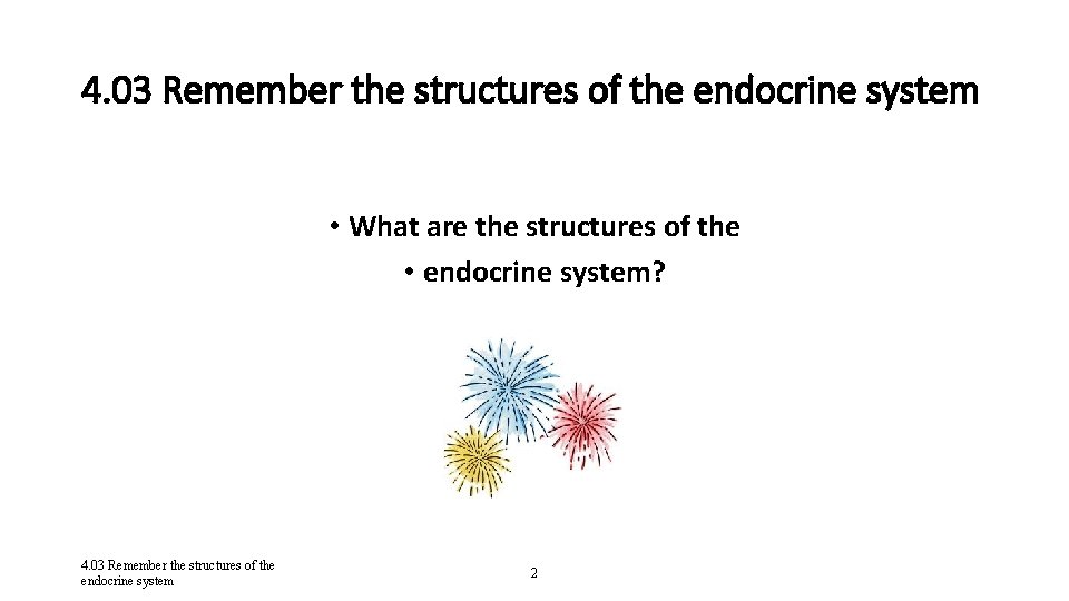 4. 03 Remember the structures of the endocrine system • What are the structures