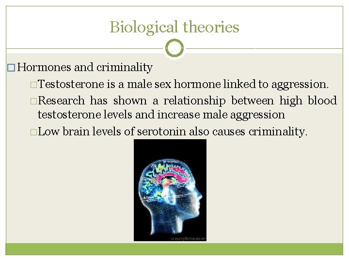 Biological theories � Hormones and criminality �Testosterone is a male sex hormone linked to