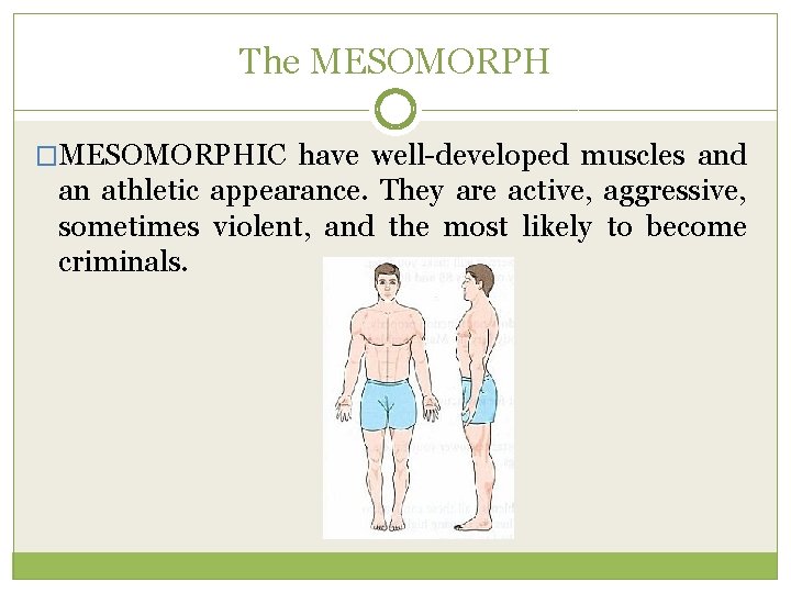 The MESOMORPH �MESOMORPHIC have well-developed muscles and an athletic appearance. They are active, aggressive,