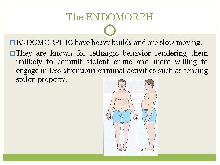 The ENDOMORPH � ENDOMORPHIC have heavy builds and are slow moving. � They are