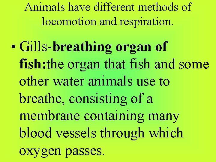 Animals have different methods of locomotion and respiration. • Gills-breathing organ of fish: the