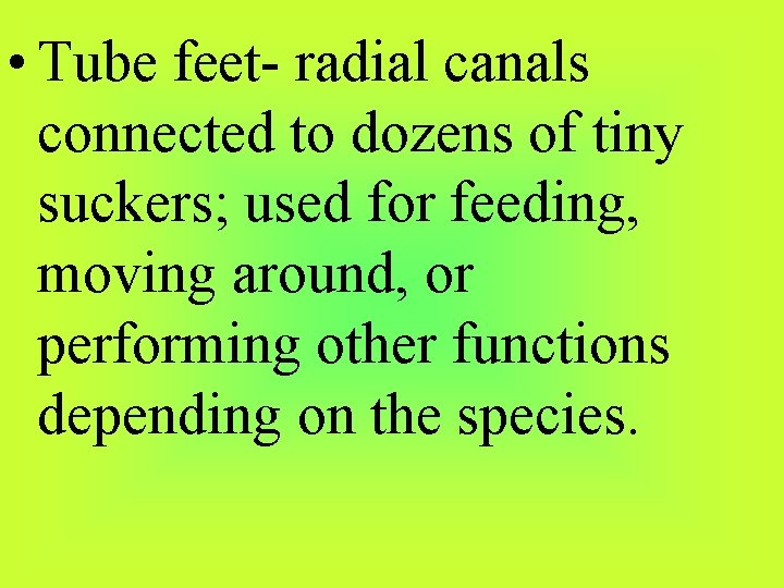  • Tube feet- radial canals connected to dozens of tiny suckers; used for