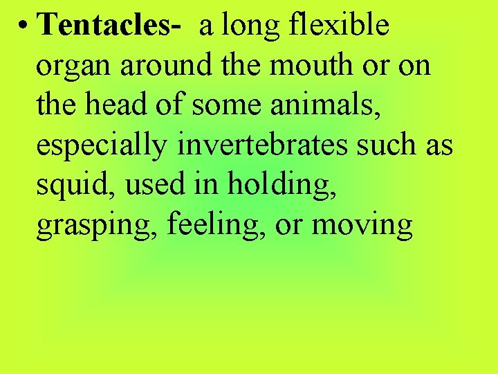  • Tentacles- a long flexible organ around the mouth or on the head