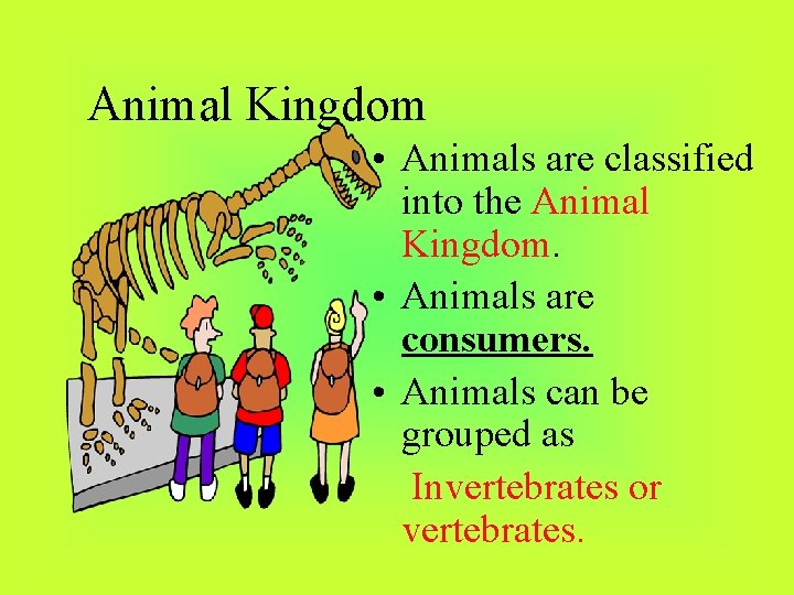 Animal Kingdom • Animals are classified into the Animal Kingdom. • Animals are consumers.