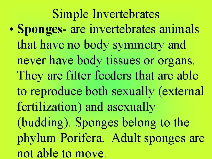 Simple Invertebrates • Sponges- are invertebrates animals that have no body symmetry and never