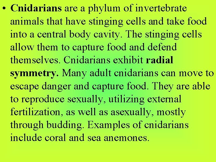  • Cnidarians are a phylum of invertebrate animals that have stinging cells and