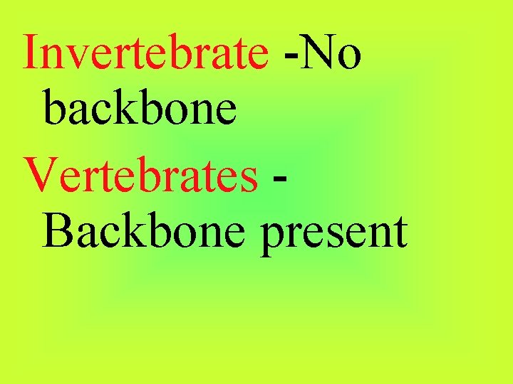 Invertebrate -No backbone Vertebrates Backbone present 